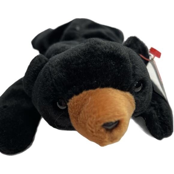 TY Beanie Babies Collection Black Bear Blackie DOB July 15 1994 - Picture 1 of 7